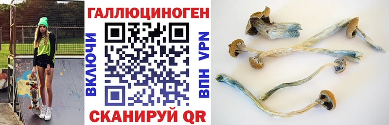 Псилоцибиновые грибы Magic Shrooms Черняховск