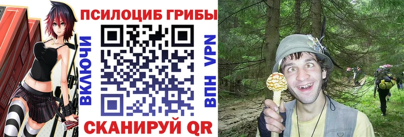 Псилоцибиновые грибы мицелий  маркетплейс клад  Черняховск 