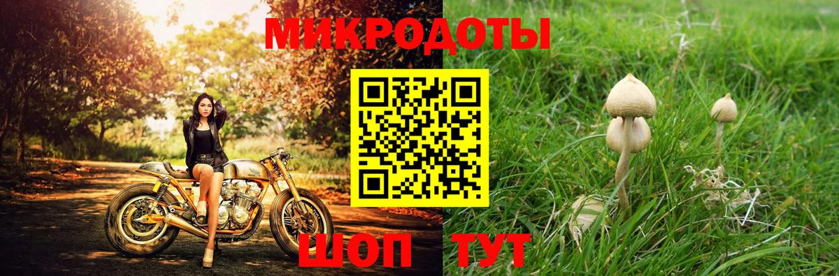 Галлюциногенные грибы MAGIC MUSHROOMS Черняховск
