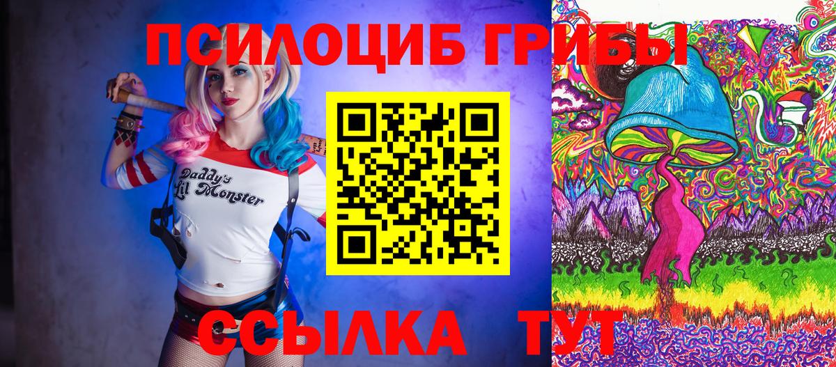 Псилоцибиновые грибы Psilocybe  Галлюциногенные грибы ЛСД  Черняховск 