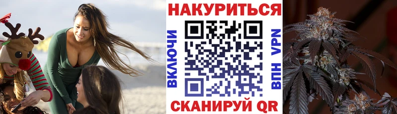 OMG ТОР  Черняховск  Каннабис гибрид 